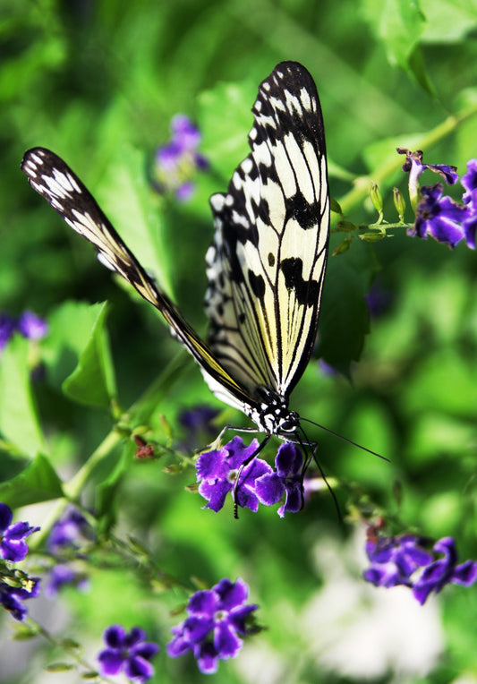 Everyday Update: Finding Magic in the Little Things